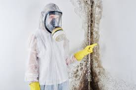 Best Mold Removal for HVAC Installations  in USA